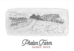 2023 Gamay Noir