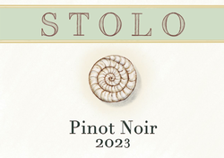 2023 Pinot Noir